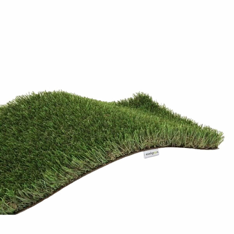 Plantas de exterior