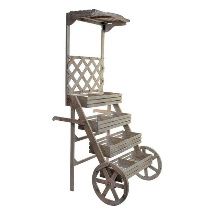 Carros de servir