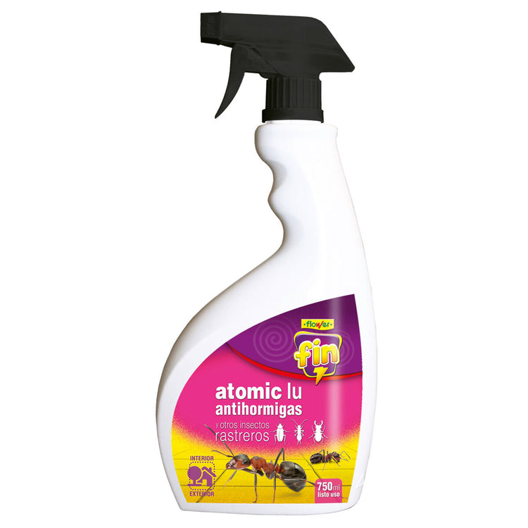 Hormigas