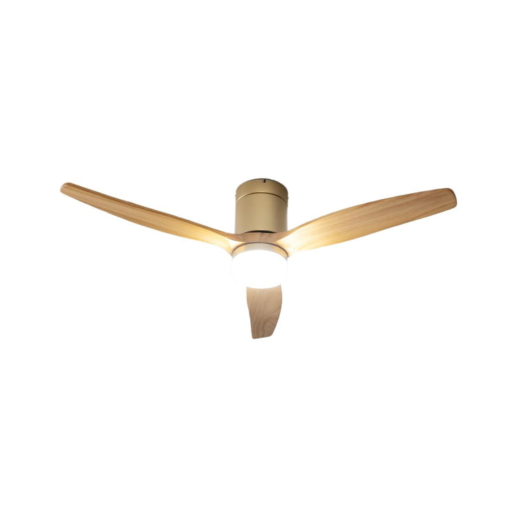 Ventiladores de techo con lámpara